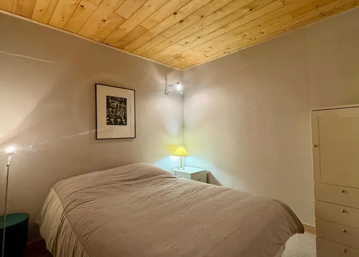 公寓 Appt 1650 Aux Pieds *